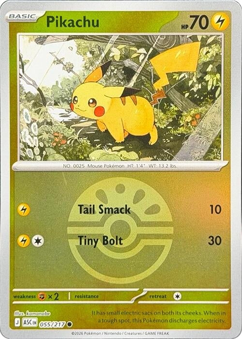 Image for Pikachu (Friend Ball) (055/217) (ASC) - Pokemon