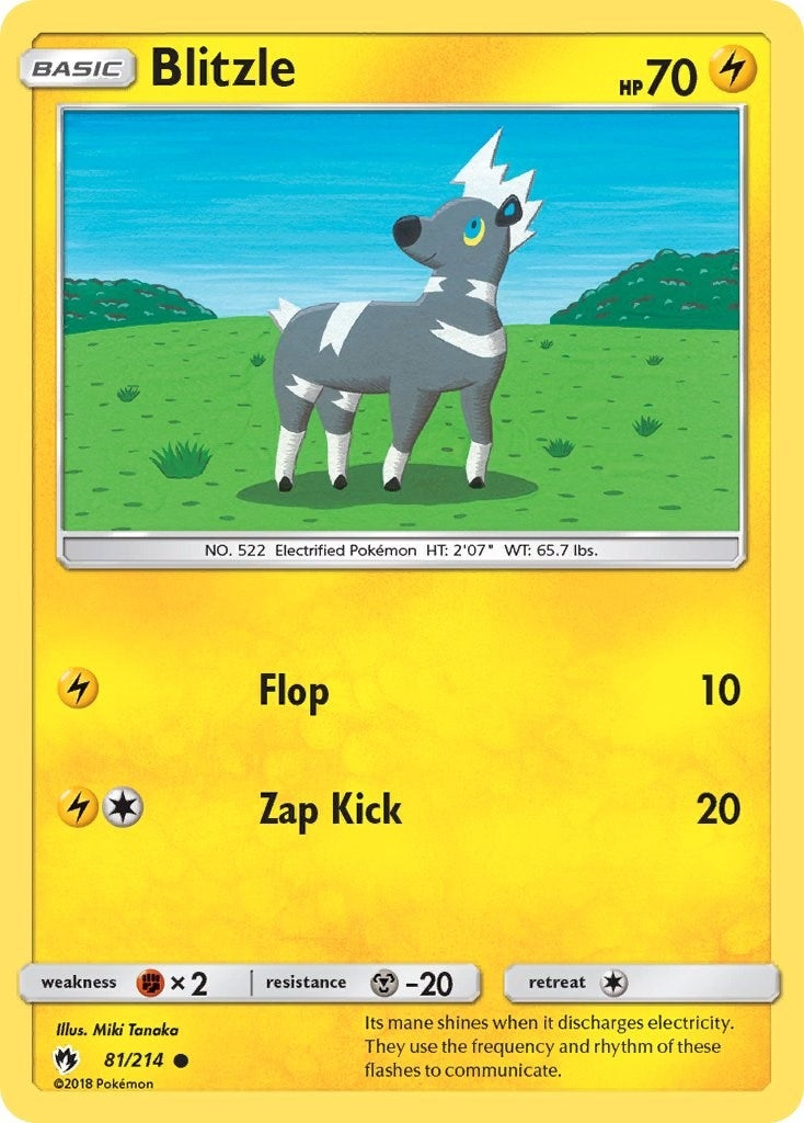 Image for Blitzle (81/214) (SM8) - Pokemon
