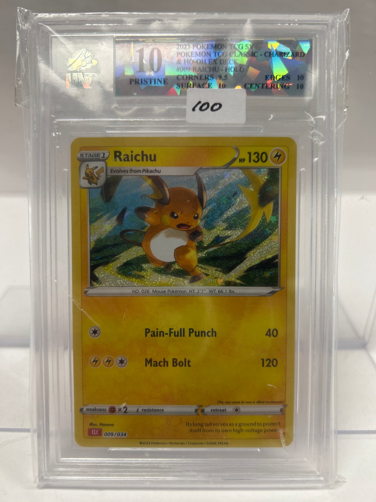 Raichu 2023 009/034 - MNT (10)