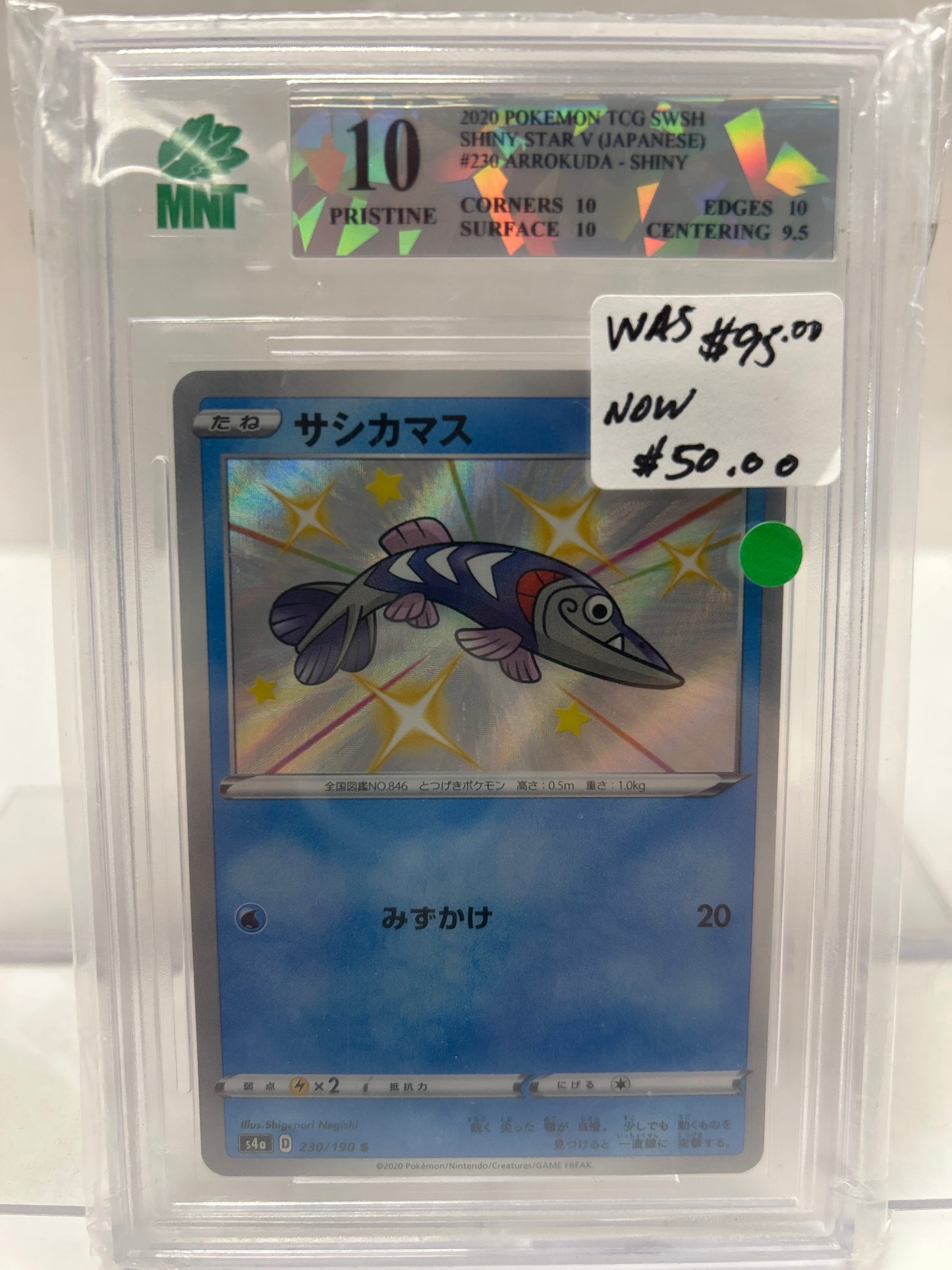 Arrokuda Shiny 2020 230/190 Japanese - MNT (10)