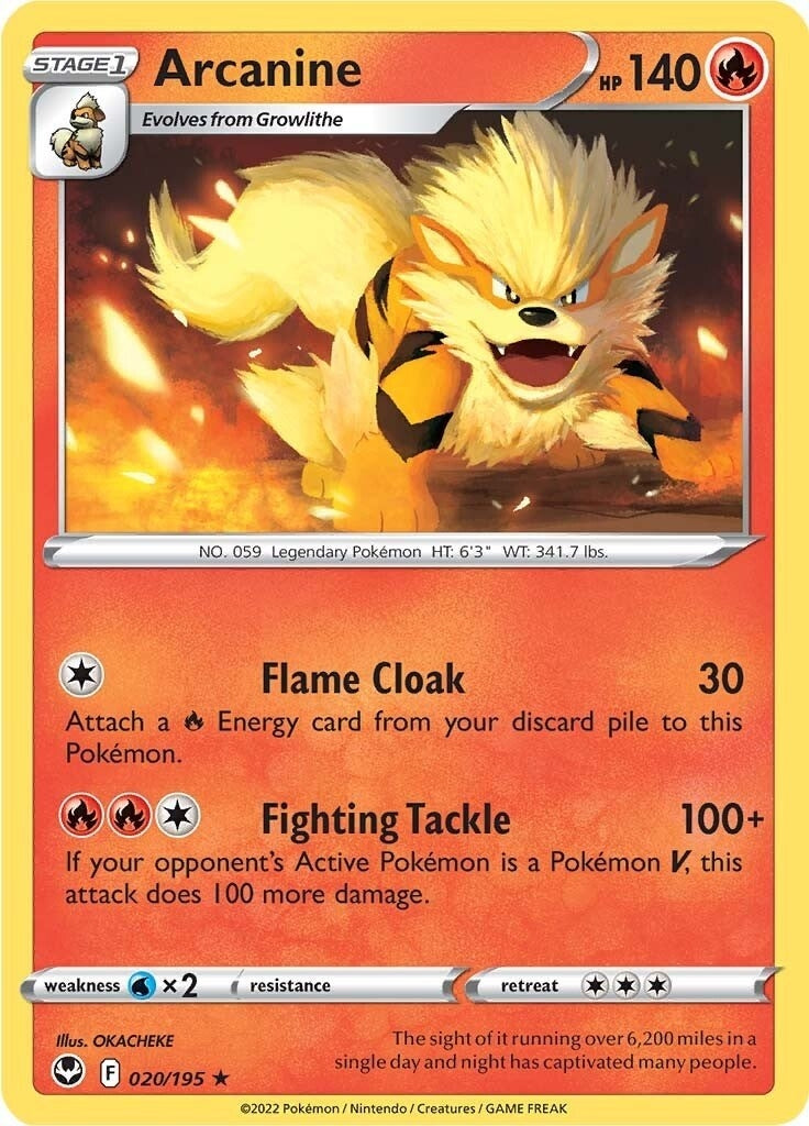 Image for Arcanine (020/195) (SWSH12) - Pokemon