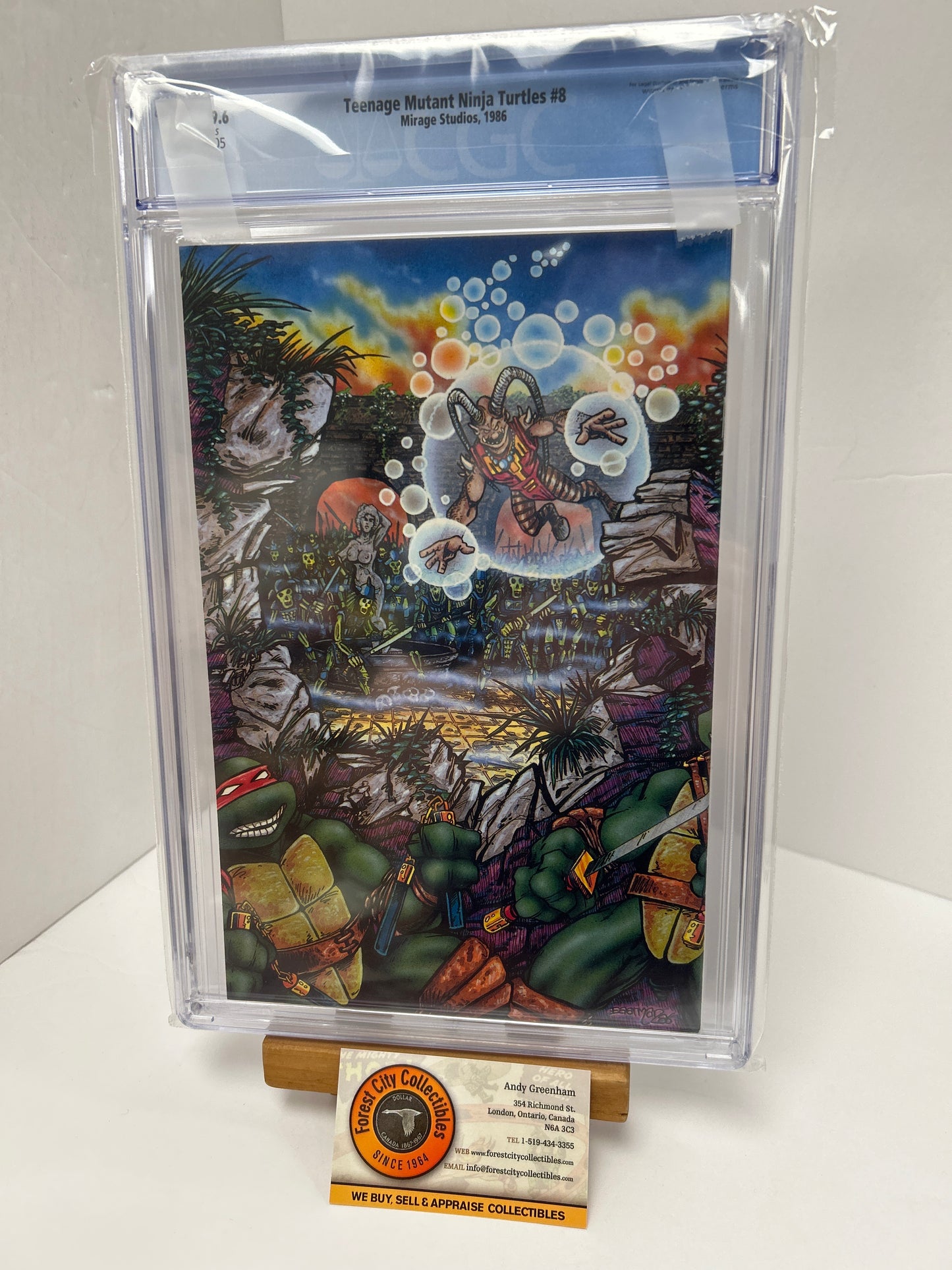 Teenage Mutant Ninja Turtles #8 (White Pages) {CGC 9.6}