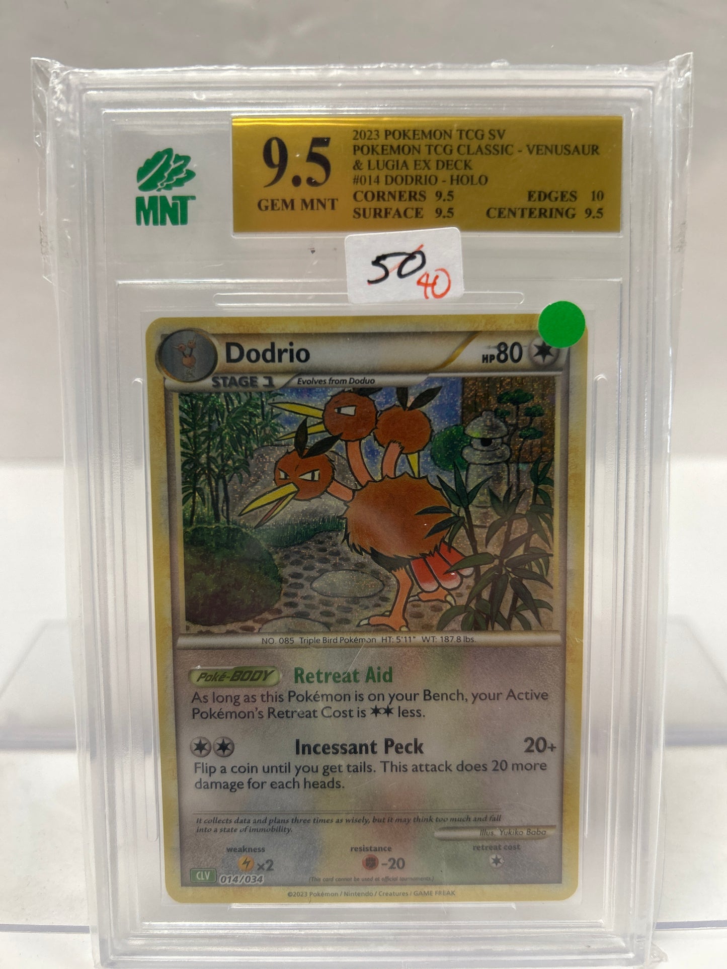 Dodrio 2023 014/034 - MNT (9.5)