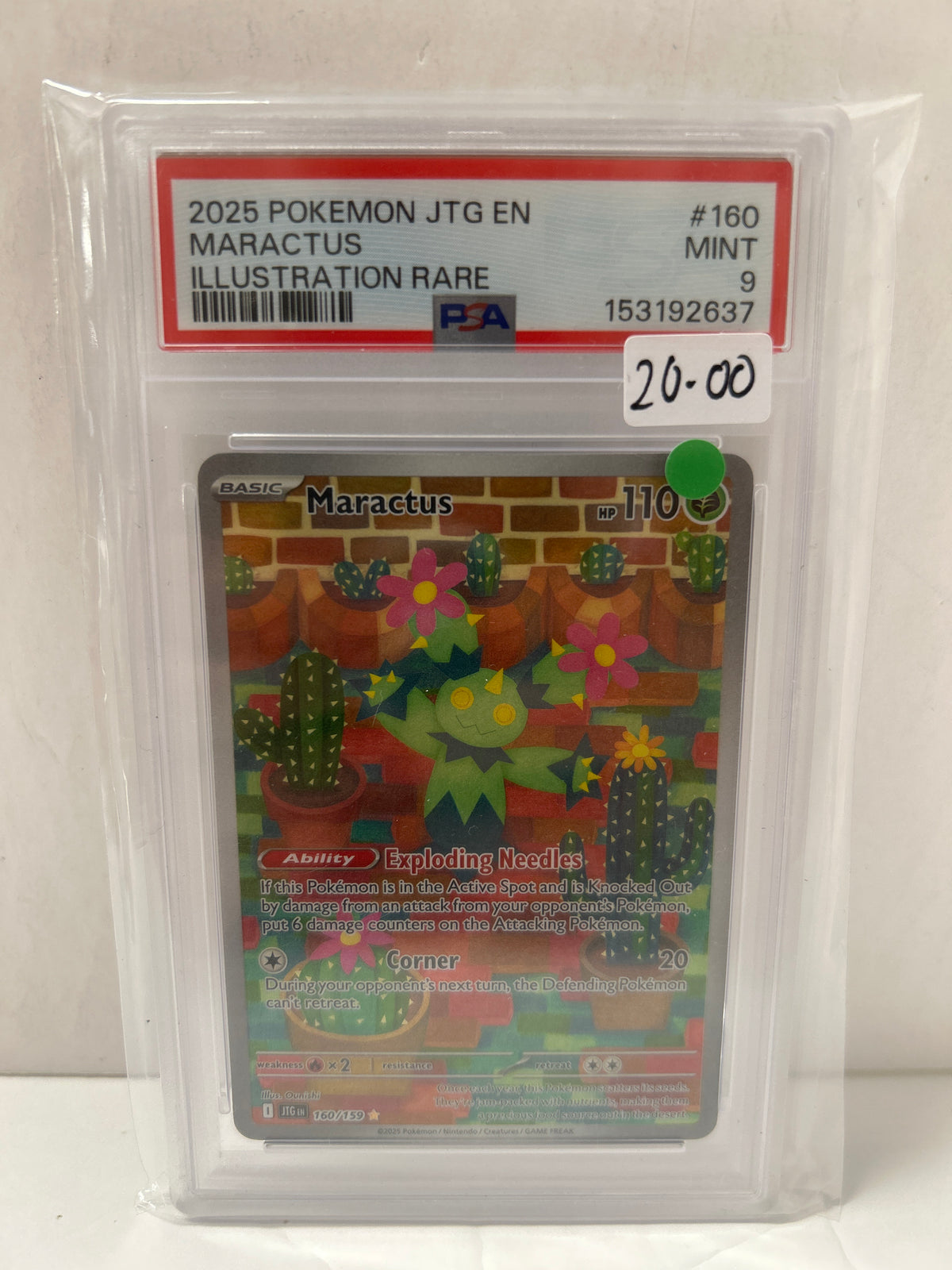 Maractus 2025 Pokemon JTG EN (160/159) - PSA (9)