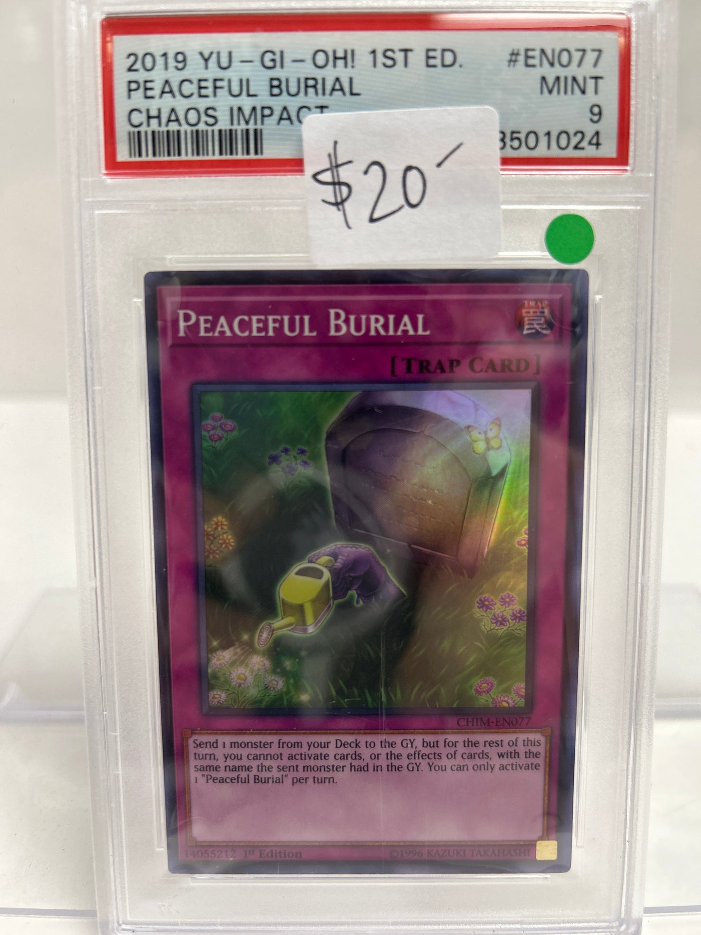 Yu-Gi-Oh! Peaceful Burial 2019 - PSA (9)